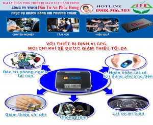 Lắp Đặt Định Vị Ô Tô và Xin Phù Hiệu Xe tại Thuận An Bình Dương