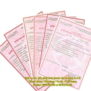 DỊCH VỤ XIN GIẤY PHÉP KINH DOANH VẬN TẢI VÀ PHÙ HIỆU XE Ô TÔ TẠI QUẬN 2 TPHCM
