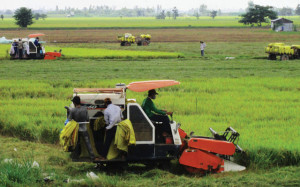 Dịch vụ thành lập hợp tác xã tại Bình Dương