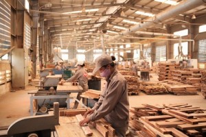 Dịch Vụ Xin Giấy Phép Kinh Doanh Gỗ Tại Bình Dương