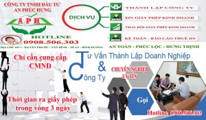 Dịch vụ thành lập công ty Tin Học ở Bình Dương