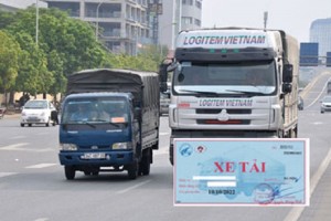 Dịch Vụ Xin Cấp Phù Hiệu Xe Tải Tại Bình Dương