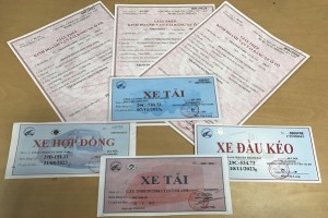 Xin phù hiệu xe tải rẻ nhất Sài Gòn