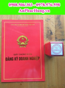 Dịch vụ thành lập công ty Quận 2 Tphcm
