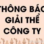 giai the cong ty An Phuc Hung