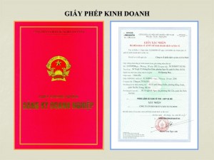 Dịch vụ xin cấp lại giấy phép kinh doanh tại Bình Dương