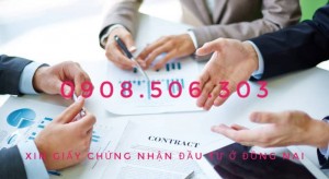 Dịch vụ xin cấp giấy chứng nhận đầu tư ở Đồng Nai