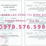giấy phép lao động cho người nước ngoài tại bình dương