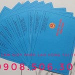 làm giấy phép lao động cho người nước ngoài tại Thuận An