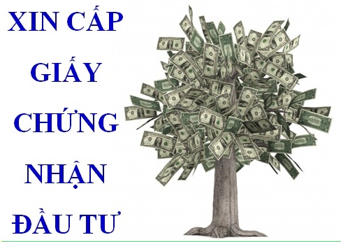 Xin giấy chứng nhận đầu tư tại Tây Ninh
