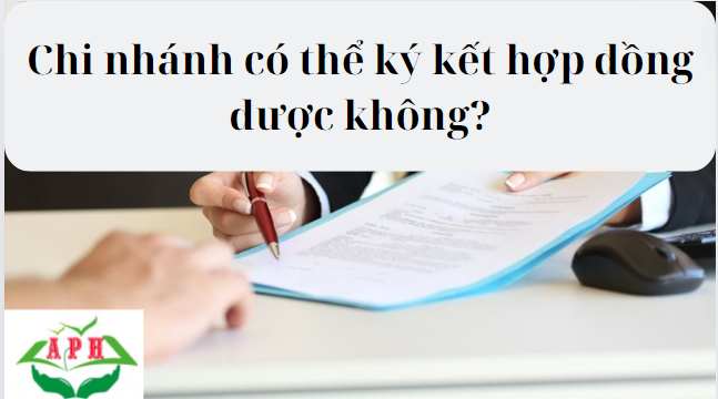 Chi Nhánh Công Ty Có Thể Ký Kết Hợp Đồng Không?