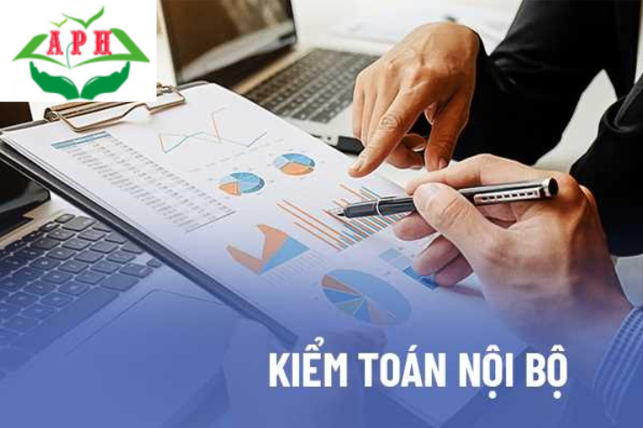 Kiểm Toán Nội Bộ: Cách Thực Hiện Và Tầm Quan Trọng