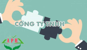 Công ty trách nhiệm hữu hạn