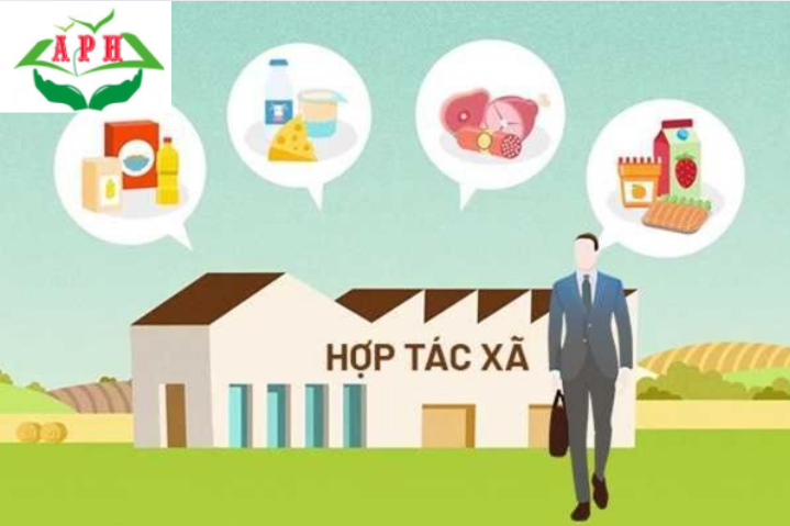 Công ty hợp tác xã là gì? Ưu và nhược điểm