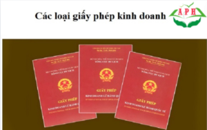 Các loại giấy phép KD